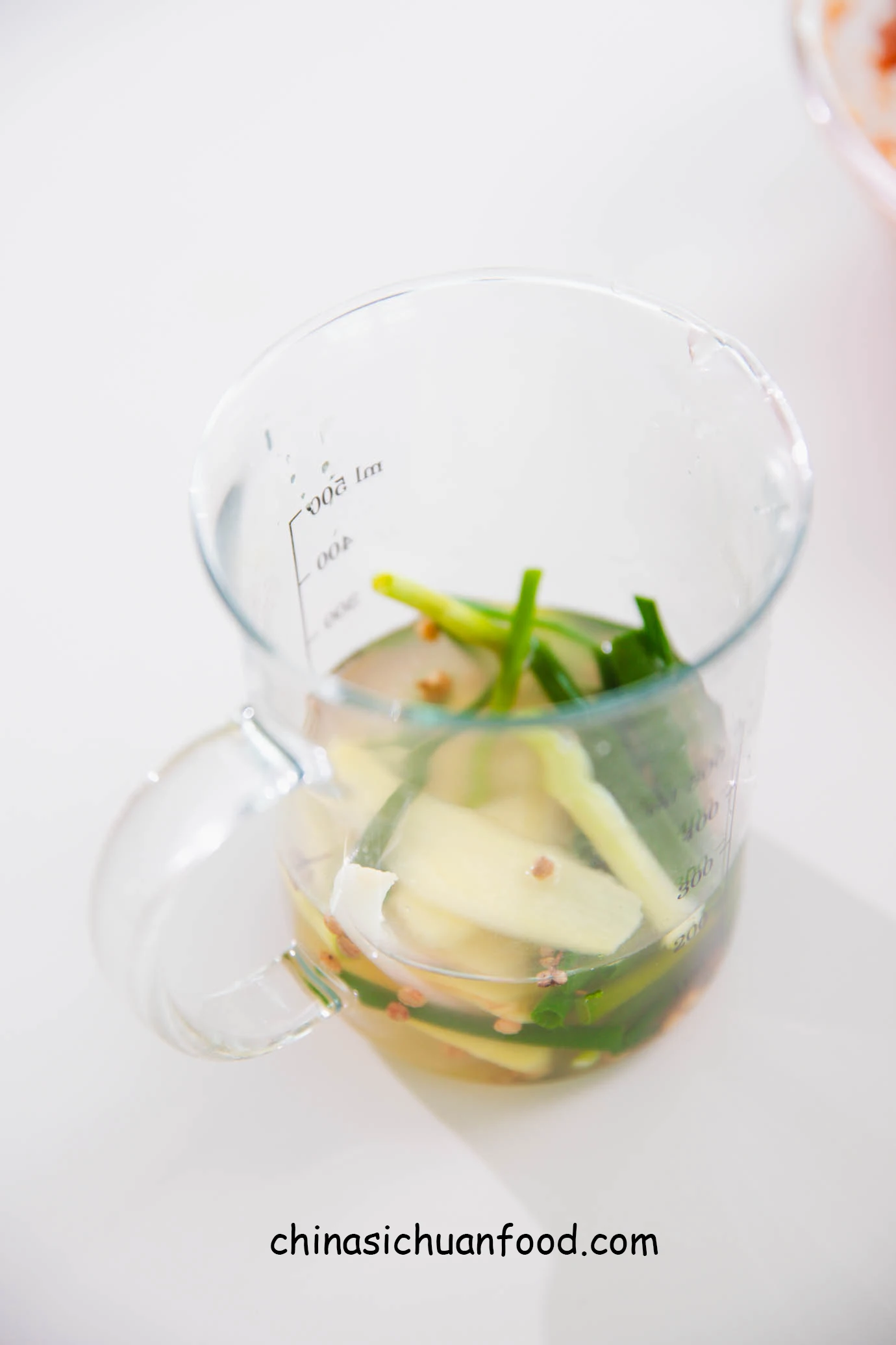 shengjianbao|chinasichuanfood.com