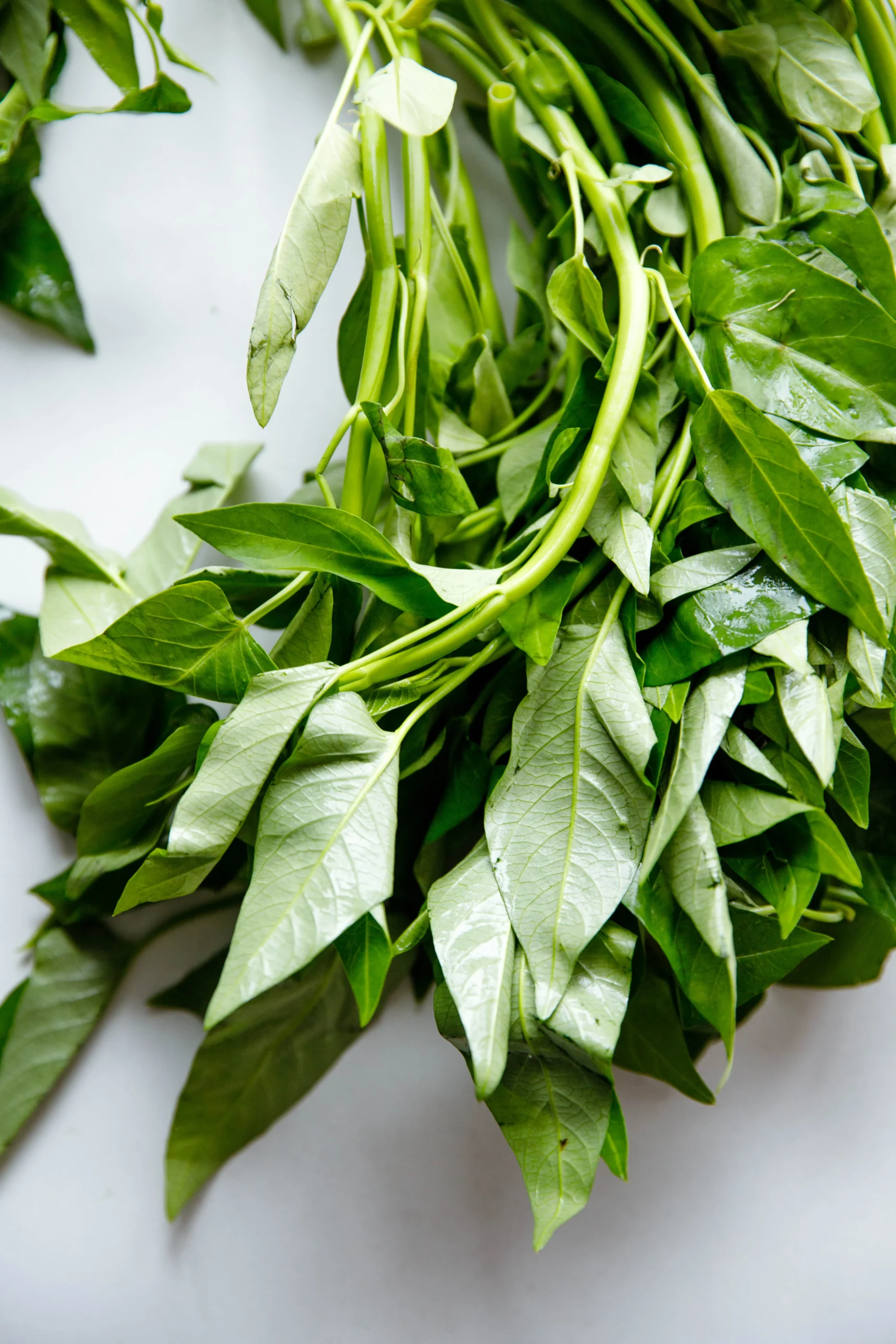 water spinach stir fry with garlic
